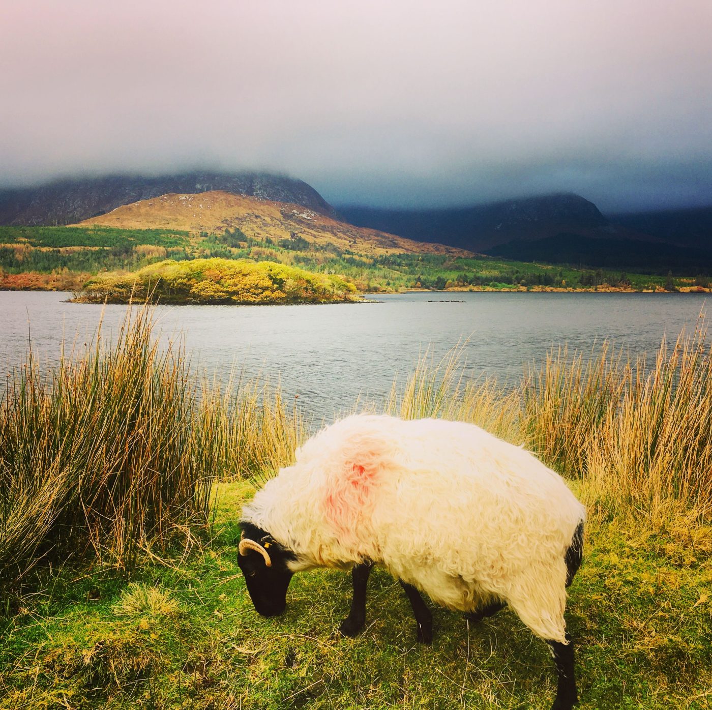 Un road trip sur l&rsquo;incroyable Wild Atlantic Way en Irlande
